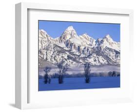 Snowcapped Mountains and Bare Tree, Grand Teton National Park, Wyoming, USA-Scott T^ Smith-Framed Photographic Print