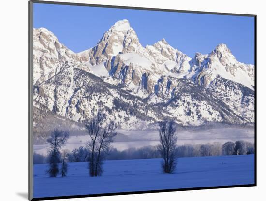 Snowcapped Mountains and Bare Tree, Grand Teton National Park, Wyoming, USA-Scott T^ Smith-Mounted Photographic Print