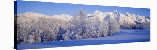 Snowcapped Mountains on a Landscape, Alaska, USA-null-Stretched Canvas