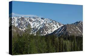 Snowcapped Mountains-cec72-Stretched Canvas