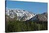 Snowcapped Mountains-cec72-Stretched Canvas
