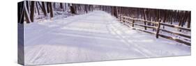 Snowcapped Road and Fence in the Forest, Grand Rapids, Michigan, USA-null-Stretched Canvas