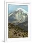 Snowcapped volcano Sajama, Sajama National Park, Bolivia-Anthony Asael-Framed Premium Photographic Print