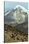 Snowcapped volcano Sajama, Sajama National Park, Bolivia-Anthony Asael-Stretched Canvas