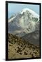 Snowcapped volcano Sajama, Sajama National Park, Bolivia-Anthony Asael-Framed Photographic Print