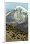 Snowcapped volcano Sajama, Sajama National Park, Bolivia-Anthony Asael-Framed Premium Photographic Print