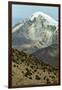 Snowcapped volcano Sajama, Sajama National Park, Bolivia-Anthony Asael-Framed Premium Photographic Print