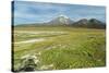 Snowcapped volcano Sajama, Sajama National Park, Bolivia-Anthony Asael-Stretched Canvas