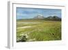 Snowcapped volcano Sajama, Sajama National Park, Bolivia-Anthony Asael-Framed Photographic Print