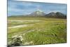 Snowcapped volcano Sajama, Sajama National Park, Bolivia-Anthony Asael-Mounted Photographic Print