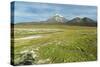 Snowcapped volcano Sajama, Sajama National Park, Bolivia-Anthony Asael-Stretched Canvas