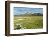 Snowcapped volcano Sajama, Sajama National Park, Bolivia-Anthony Asael-Framed Photographic Print