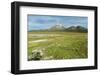 Snowcapped volcano Sajama, Sajama National Park, Bolivia-Anthony Asael-Framed Photographic Print