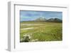 Snowcapped volcano Sajama, Sajama National Park, Bolivia-Anthony Asael-Framed Photographic Print