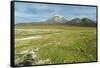 Snowcapped volcano Sajama, Sajama National Park, Bolivia-Anthony Asael-Framed Stretched Canvas