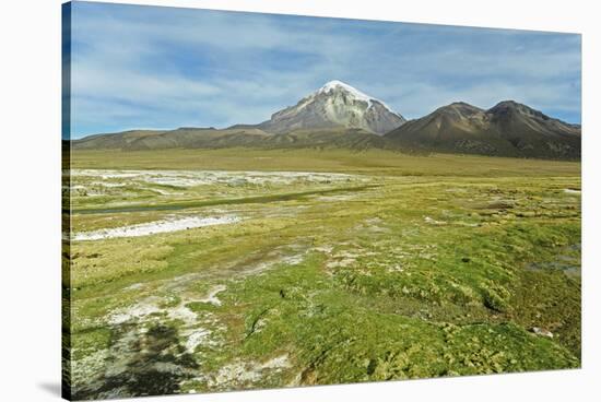 Snowcapped volcano Sajama, Sajama National Park, Bolivia-Anthony Asael-Stretched Canvas