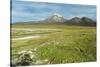 Snowcapped volcano Sajama, Sajama National Park, Bolivia-Anthony Asael-Stretched Canvas