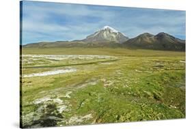 Snowcapped volcano Sajama, Sajama National Park, Bolivia-Anthony Asael-Stretched Canvas