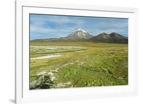 Snowcapped volcano Sajama, Sajama National Park, Bolivia-Anthony Asael-Framed Photographic Print