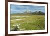 Snowcapped volcano Sajama, Sajama National Park, Bolivia-Anthony Asael-Framed Photographic Print