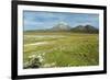 Snowcapped volcano Sajama, Sajama National Park, Bolivia-Anthony Asael-Framed Photographic Print