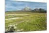 Snowcapped volcano Sajama, Sajama National Park, Bolivia-Anthony Asael-Mounted Photographic Print