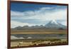 Snowcapped volcano Sajama with flamingos foreground, Sajama National Park, Bolivia-Anthony Asael-Framed Photographic Print