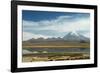 Snowcapped volcano Sajama with flamingos foreground, Sajama National Park, Bolivia-Anthony Asael-Framed Photographic Print