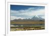 Snowcapped volcano Sajama with flamingos foreground, Sajama National Park, Bolivia-Anthony Asael-Framed Photographic Print