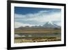 Snowcapped volcano Sajama with flamingos foreground, Sajama National Park, Bolivia-Anthony Asael-Framed Photographic Print