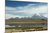 Snowcapped volcano Sajama with flamingos foreground, Sajama National Park, Bolivia-Anthony Asael-Mounted Photographic Print