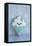 Snowcone Cookie-null-Framed Stretched Canvas