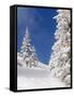 Snowcovered landscape-null-Framed Stretched Canvas