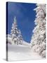 Snowcovered landscape-null-Stretched Canvas