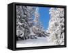 Snowcovered landscape-null-Framed Stretched Canvas