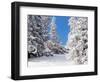 Snowcovered landscape-null-Framed Photographic Print