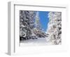 Snowcovered landscape-null-Framed Photographic Print