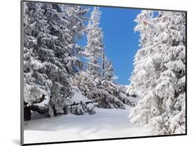 Snowcovered landscape-null-Mounted Photographic Print