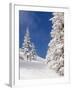 Snowcovered landscape-null-Framed Photographic Print