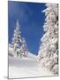 Snowcovered landscape-null-Mounted Photographic Print