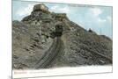 Wood Mount