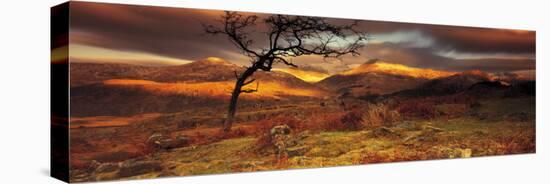 Snowdonia National Park, Wales, United Kingdom-null-Stretched Canvas