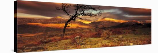 Snowdonia National Park, Wales, United Kingdom-null-Stretched Canvas