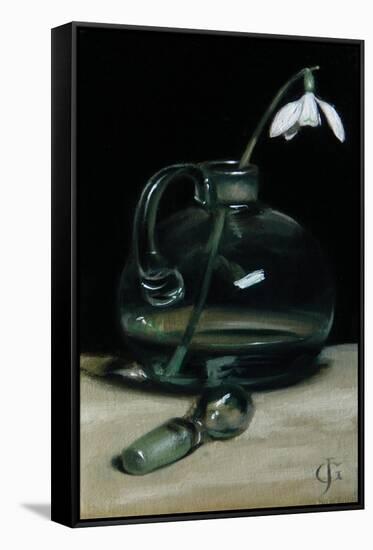Snowdrop, 2011-James Gillick-Framed Stretched Canvas