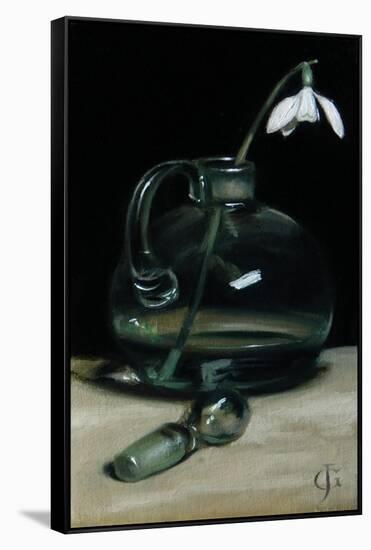 Snowdrop, 2011-James Gillick-Framed Stretched Canvas