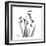 Snowdrop Black and White-Albert Koetsier-Framed Art Print