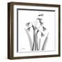 Snowdrop Black and White-Albert Koetsier-Framed Art Print