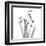 Snowdrop Black and White-Albert Koetsier-Framed Art Print