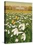 Snowdrop Day, Hatfield House, 1999-Frances Broomfield-Stretched Canvas