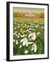 Snowdrop Day, Hatfield House, 1999-Frances Broomfield-Framed Giclee Print